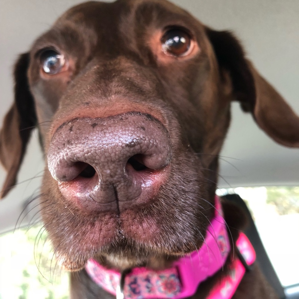 Meet your Posher, Jaclyn